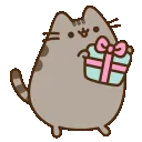 00_pusheenpresent