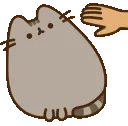 00_pusheennopat