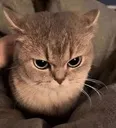 A_angry