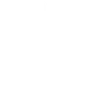 RS_I