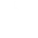 RS_Y