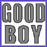 HOT_SHOT_a_neon_goodboy
