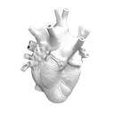 45066gothcarvedheart