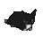 DancingShortLegCat