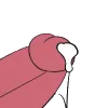 cumming