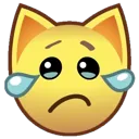 B_tearycat