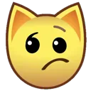 B_confused_cat