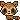 l_11raccoon