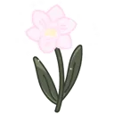 d_611flower