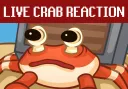 livecrab livecrab