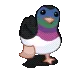 DuckWalk