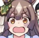 Diashock