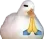 pray_duck