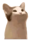 cat_pop