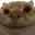 NoddersYesYes