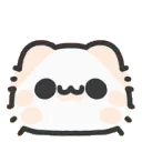 cat_shocked