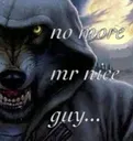 nomoremrniceguy