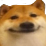 dogeface Discord sticker from The Z's