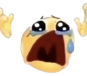 crying Discord Emoji | The Z's