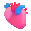 anatomical_heart