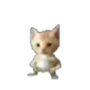 Cat_baby