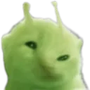 grolp