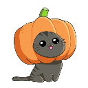 hw2_pumpkincat Discord emoji