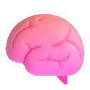 brain
