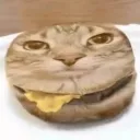 dude