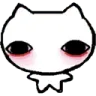kittyStare