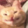 smileycat