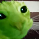 alan alan