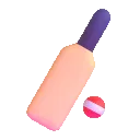 cricket_game
