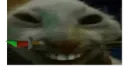 xdds xdds