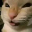 mueheheh mueheheh