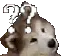 z1DogHm