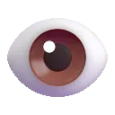 eye