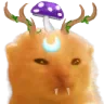 druidoftheglorp