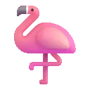 flamingo