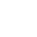 tick