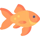 goldfish