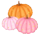 fgpumpkins