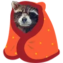 RRU_Comfy