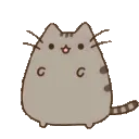 00_pusheendance