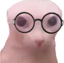 bingus bingus
