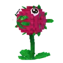 pvb_dragon_fruit