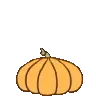 pumpkin7