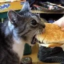 borger