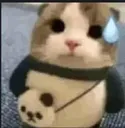 CatErmm
