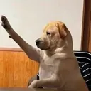 ihaveaquestion